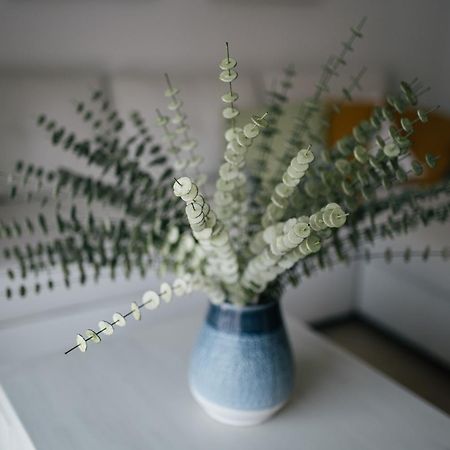 Eva Recommends Capilla De La Jura En Jerez Apartment Херес де ла Фронтера Екстериор снимка